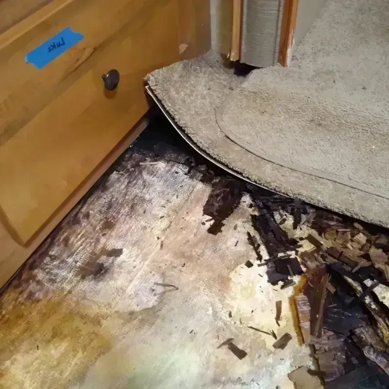 Wood Floor Water Damage in Romeo, MI